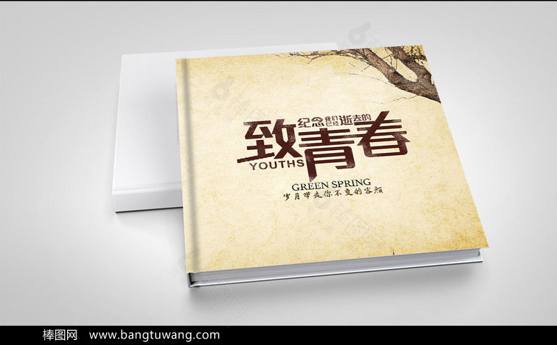 经典怀旧致青春同学录画册设计