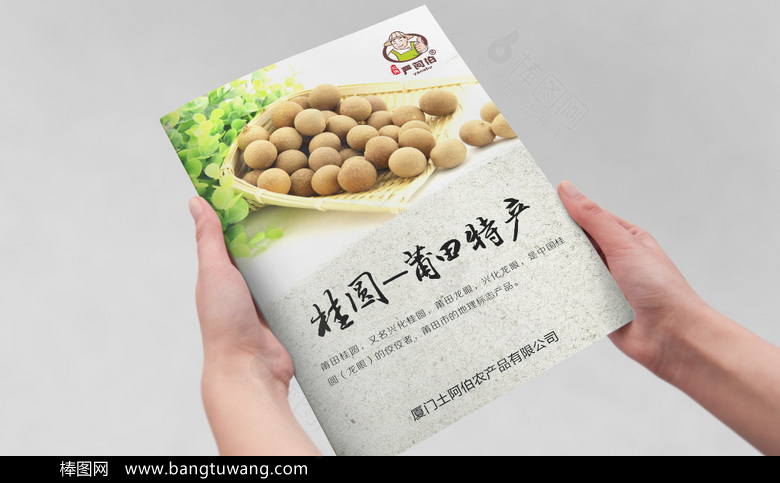 桂圆龙眼画册