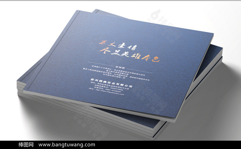 经典大气企业画册