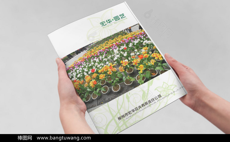 绿植花卉画册设计