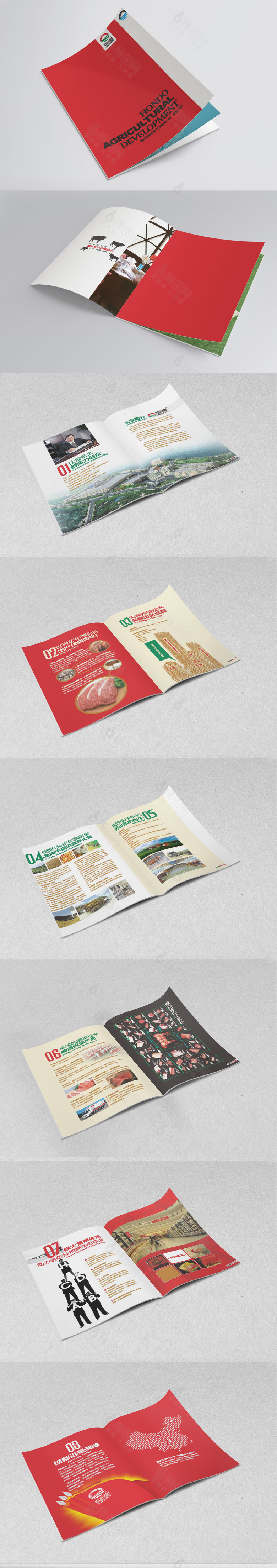 红色精品现代畜牧画册