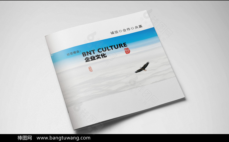 精品大气企业画册